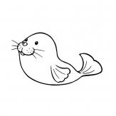 可爱海狮简笔画