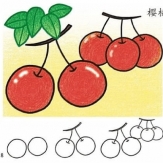 美味的樱桃植物简笔画