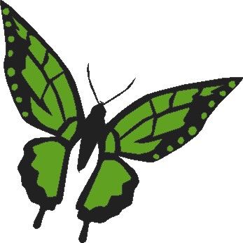 板报网一周年庆特别奉献之形态各异的蝴蝶小插图