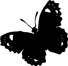 板报网一周年庆特别奉献之形态各异的蝴蝶小插图