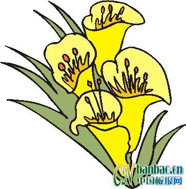 形色大自然植物之花朵插图_第23组