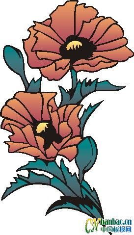 （组图）第十组漂亮简单的黑板报花朵类插图欣赏