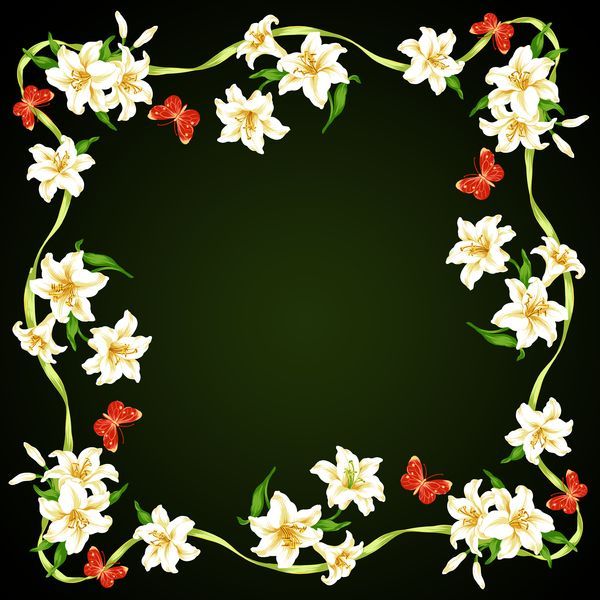 黑底 白花 红蝴蝶 花卉边框-纹理边框,qq空间边框-纹理边框,花卉边框