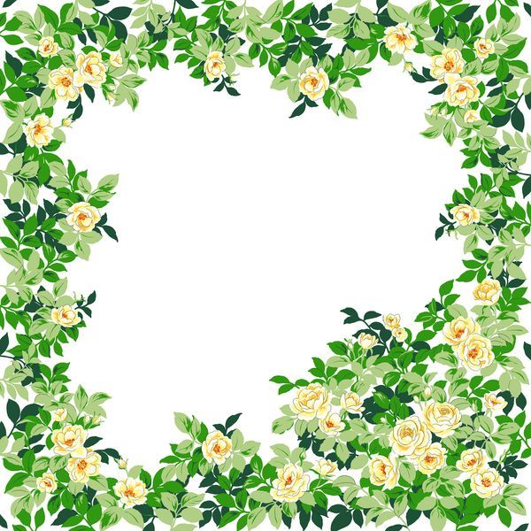 花卉边框-纹理边框,qq空间透明边框,卡通边框,花卉图案,可爱边框-纹理边框,花卉边框