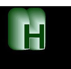 中国板报网一周年庆特别奉献之绿黑风格主题字母H