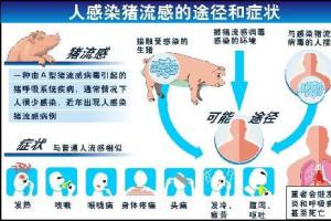 人感染甲型H1N1猪流感的途径和症状