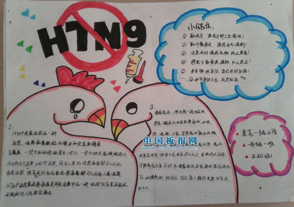 小学生H7N9手抄报大全