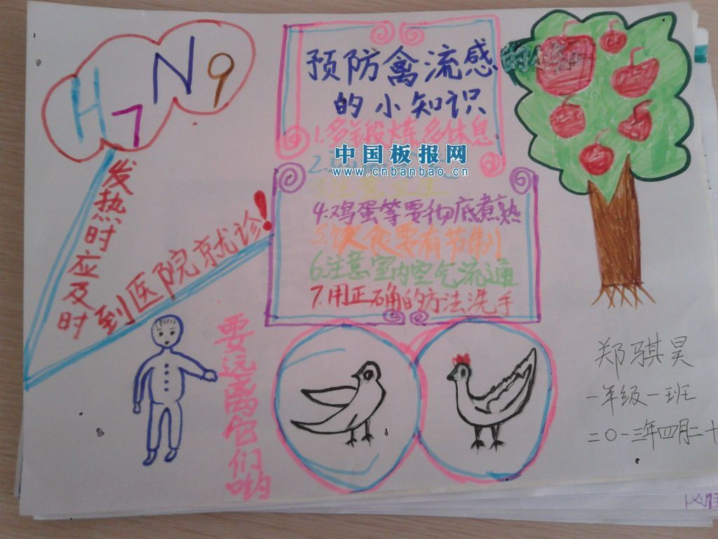 关于H7N9的手抄报图片