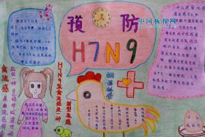 H7N9流感手抄报大全