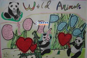 爱护动物英文小报：wild animds