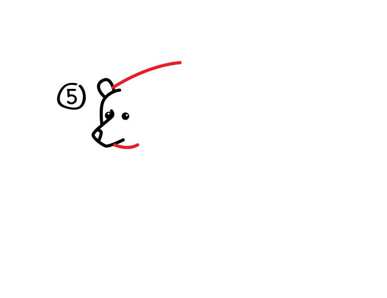 灰熊简笔画步骤图5