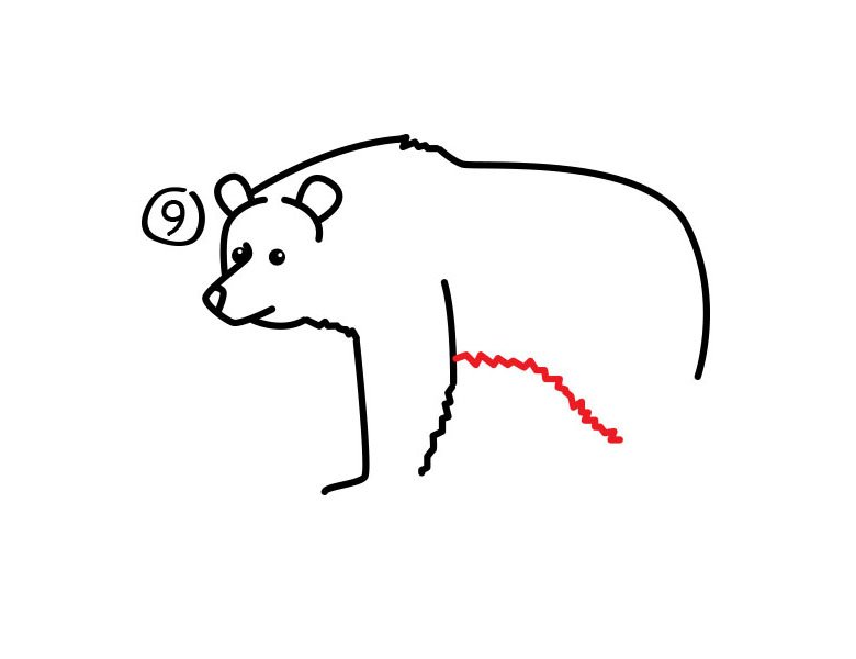 灰熊简笔画步骤图9