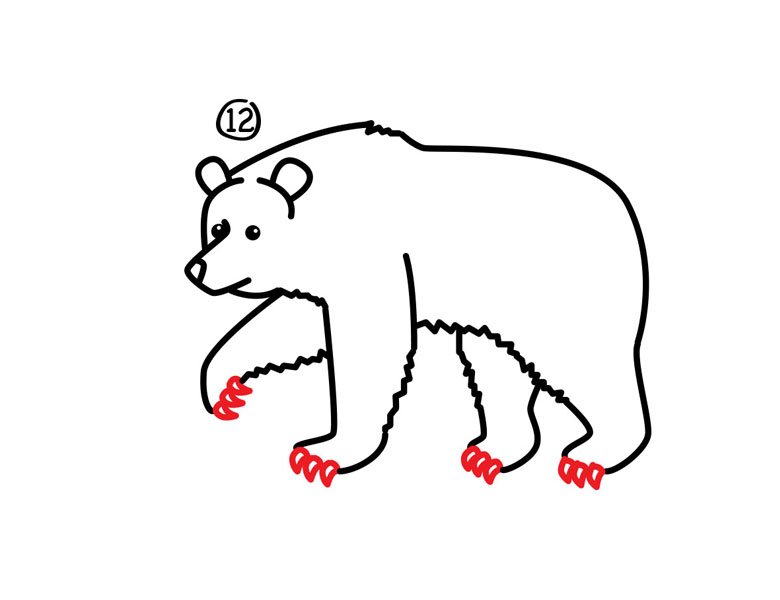 灰熊简笔画步骤图12