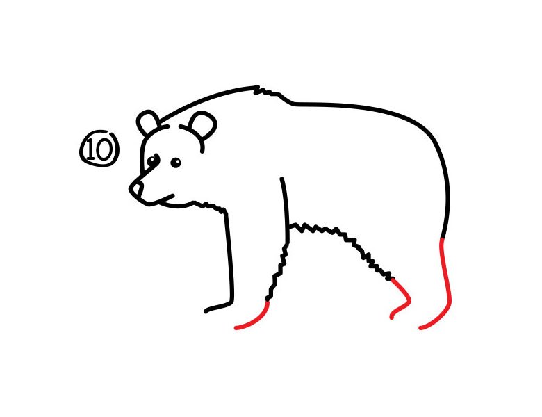 灰熊简笔画步骤图10