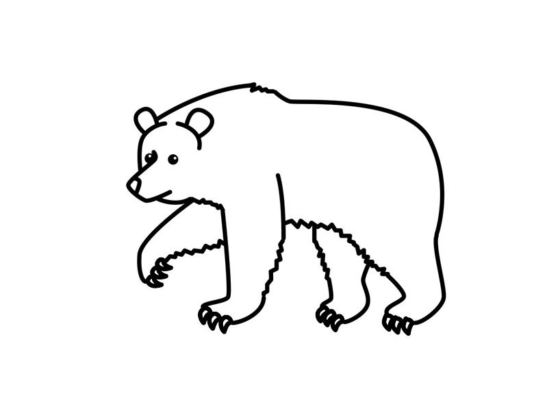 灰熊简笔画步骤图13