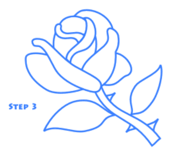 玫瑰花简笔画步骤图3