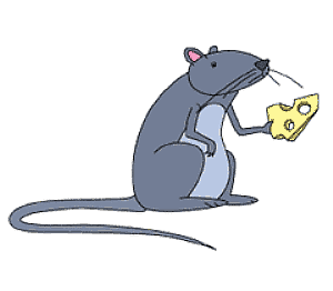 如何画偷奶酪的老鼠简笔画步骤图