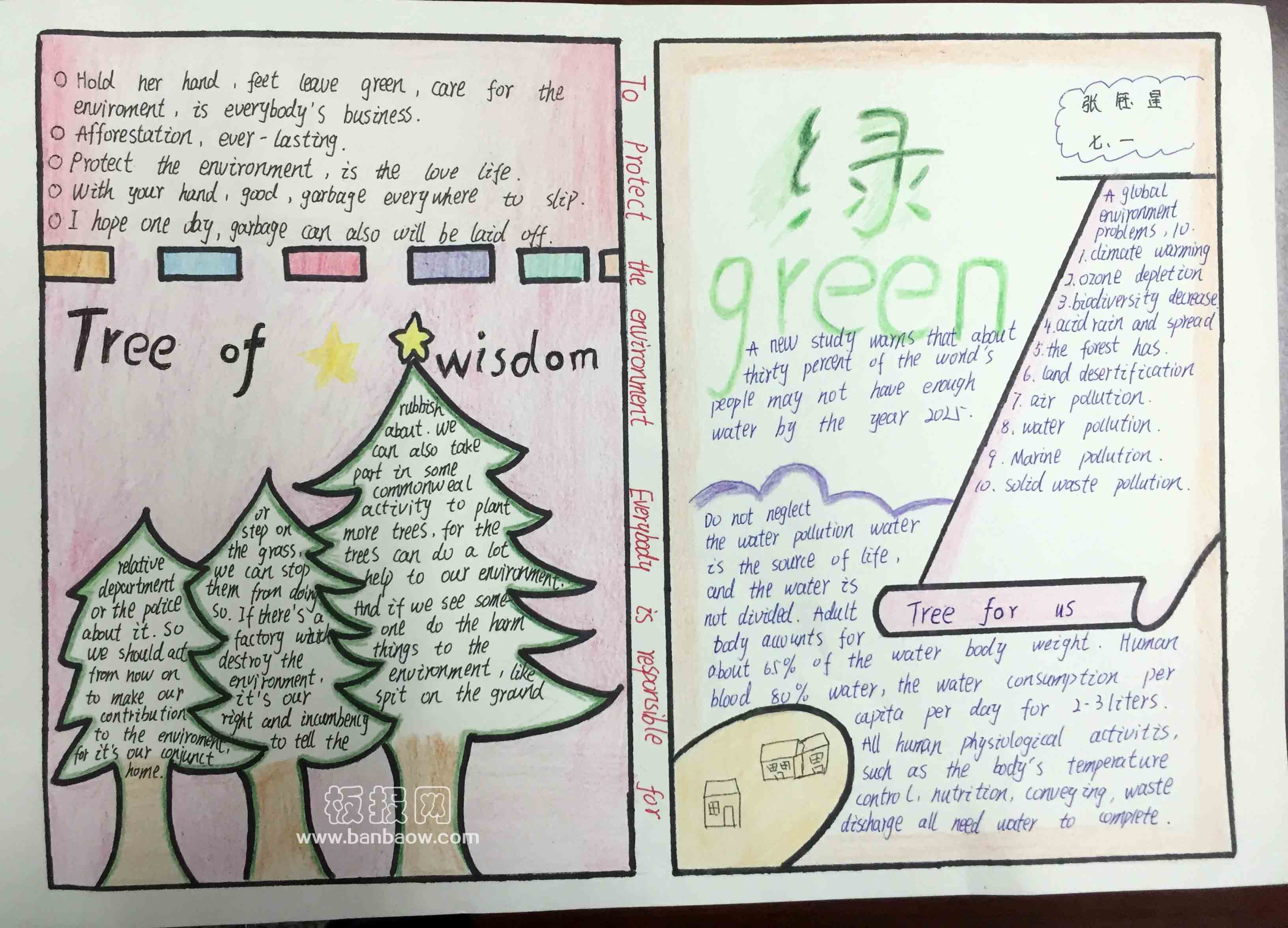 六年级森林手抄报_六年级森林手抄报分享展示