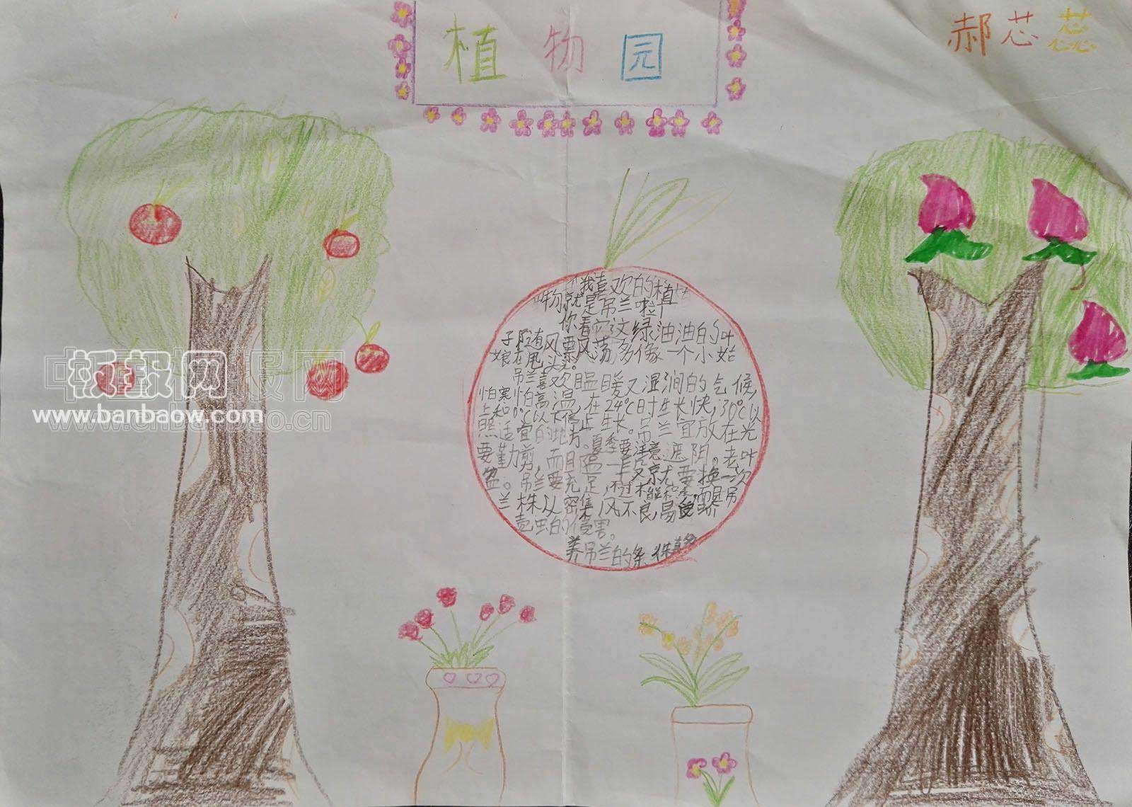 小学生植物园手抄报版面设计图