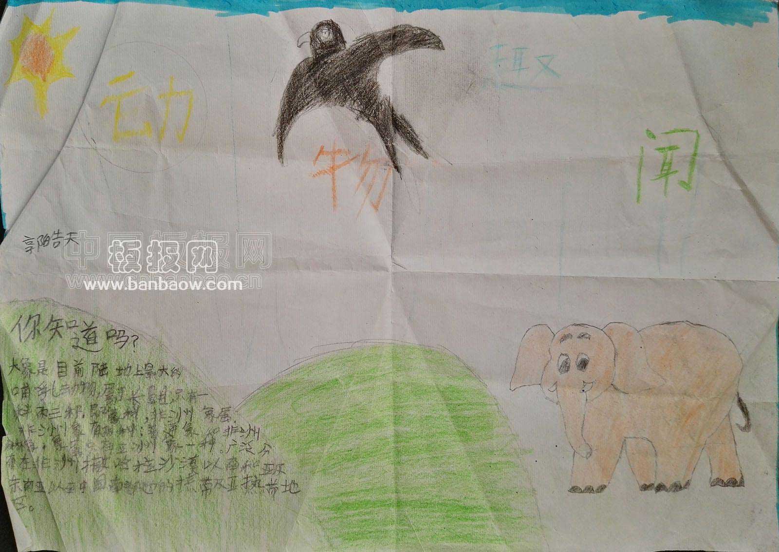 四年级动物趣闻主题手抄报图片