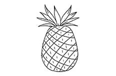 菠萝简笔画图片 菠萝怎么画