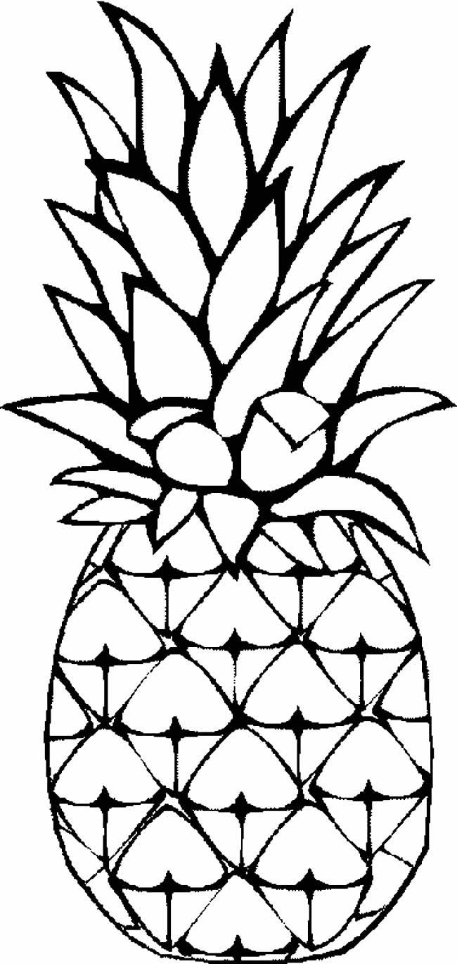 菠萝水果简笔画图片 菠萝怎么画