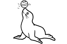 顶球的海豹简笔画步骤图片大全