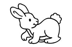 兔子简笔画_卡通萌兔子简笔画图片