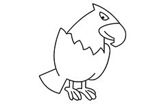 鹦鹉简笔画图片 鹦鹉怎么画