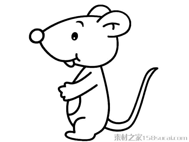 卡通老鼠简笔画_可爱小老鼠简笔画图片