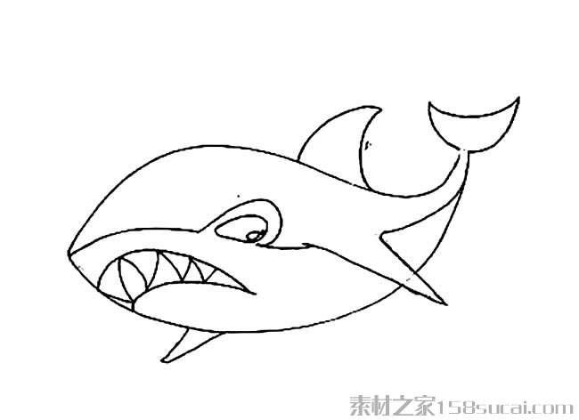 大白鲨简笔画图片 鲨鱼怎么画