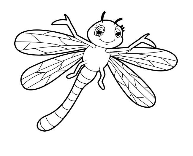 卡通蜻蜓简笔画图片怎么画
