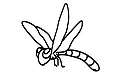 蜻蜓简笔画图片 蜻蜓怎么画