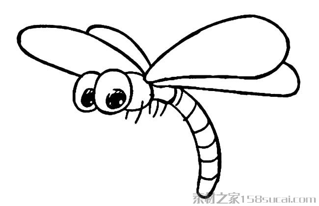 飞行中的蜻蜓怎么画 蜻蜓简笔画图片