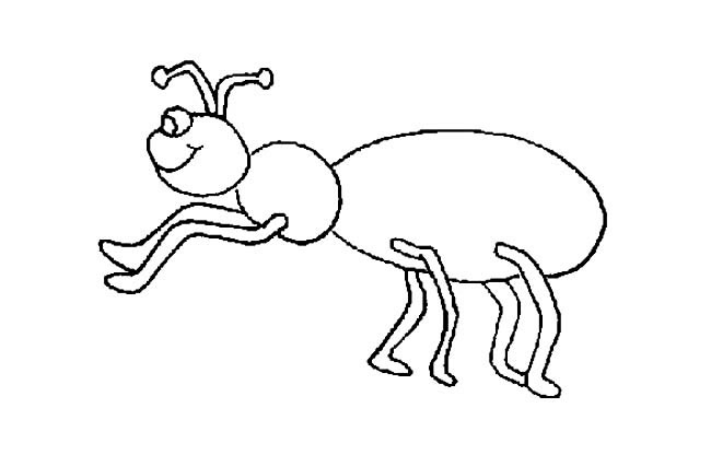 蚂蚁简笔画图片 蚂蚁是怎么画的