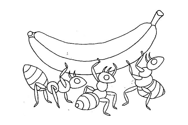 蚂蚁搬香蕉简笔画图片 蚂蚁搬香蕉怎么画