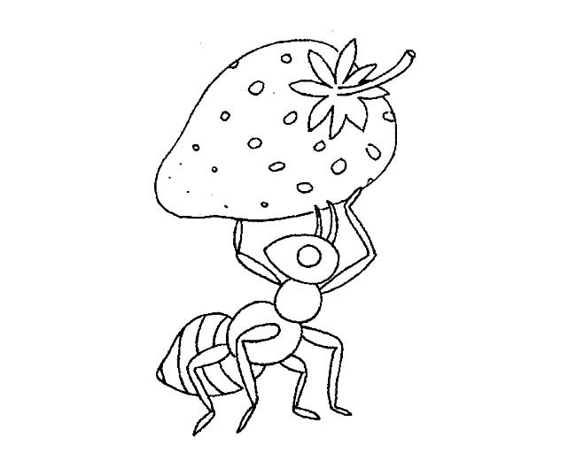 蚂蚁和草莓简笔画图片 蚂蚁和草莓怎么画