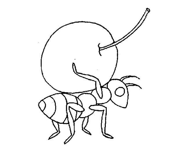 蚂蚁简笔画图片 蚂蚁怎么画