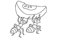蚂蚁搬食物简笔画图片 蚂蚁搬食物怎么画