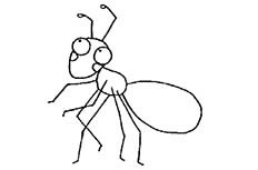 蚂蚁简笔画图片怎么画
