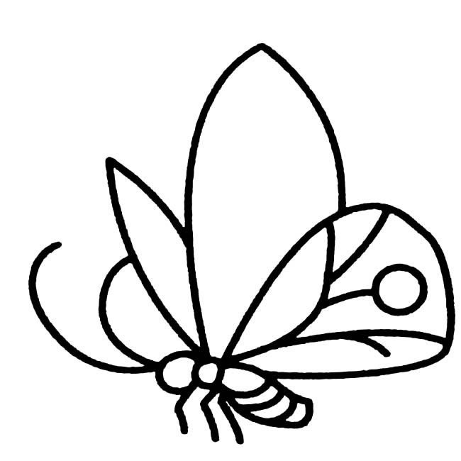 蝴蝶昆虫简笔画图片 蝴蝶怎么画