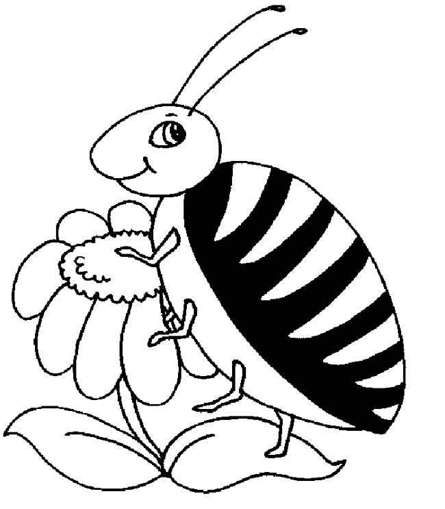 小甲虫简笔画图片 甲虫怎么画