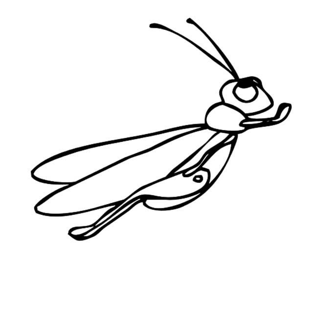 蚂蚱昆虫简笔画图片 蚂蚱怎么画