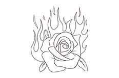 火焰玫瑰花简笔画图片 火焰玫瑰怎么画