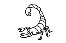 毒蝎子简笔画图片 毒蝎子怎么画