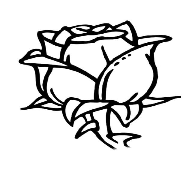 手绘玫瑰花朵简笔画图片 玫瑰花简单画