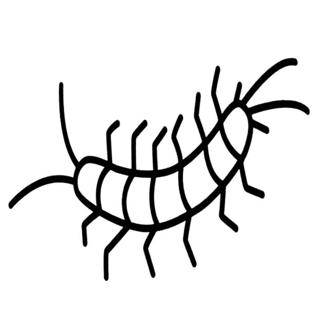 蜈蚣昆虫简笔画图片 蜈蚣怎么画