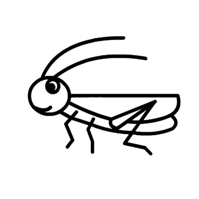 蚂蚱昆虫简笔画图片怎么画