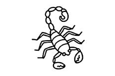 蝎子昆虫简笔画图片怎么画