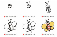 蜜蜂简笔画步骤图_可爱的蜜蜂怎么画